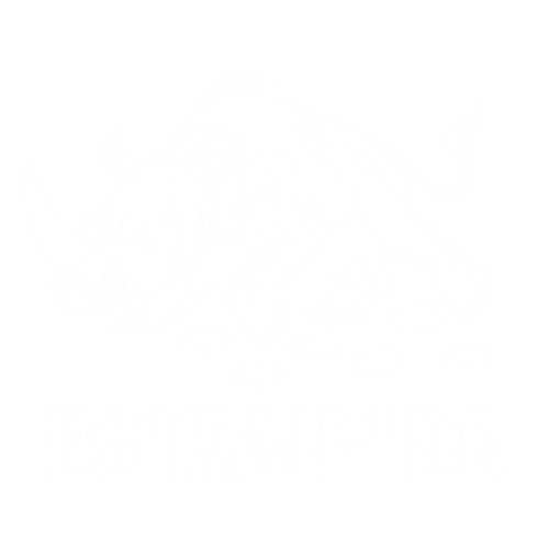 estampida.store